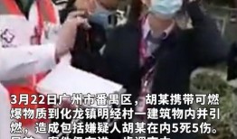 广州番禺爆料事件最新,揭秘背后真相与争议焦点