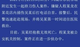 丹东凤城爆料案件最新情况,案情揭秘，疑云逐步揭开